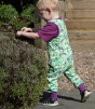 Piccalilly Spring Meadow Dungarees