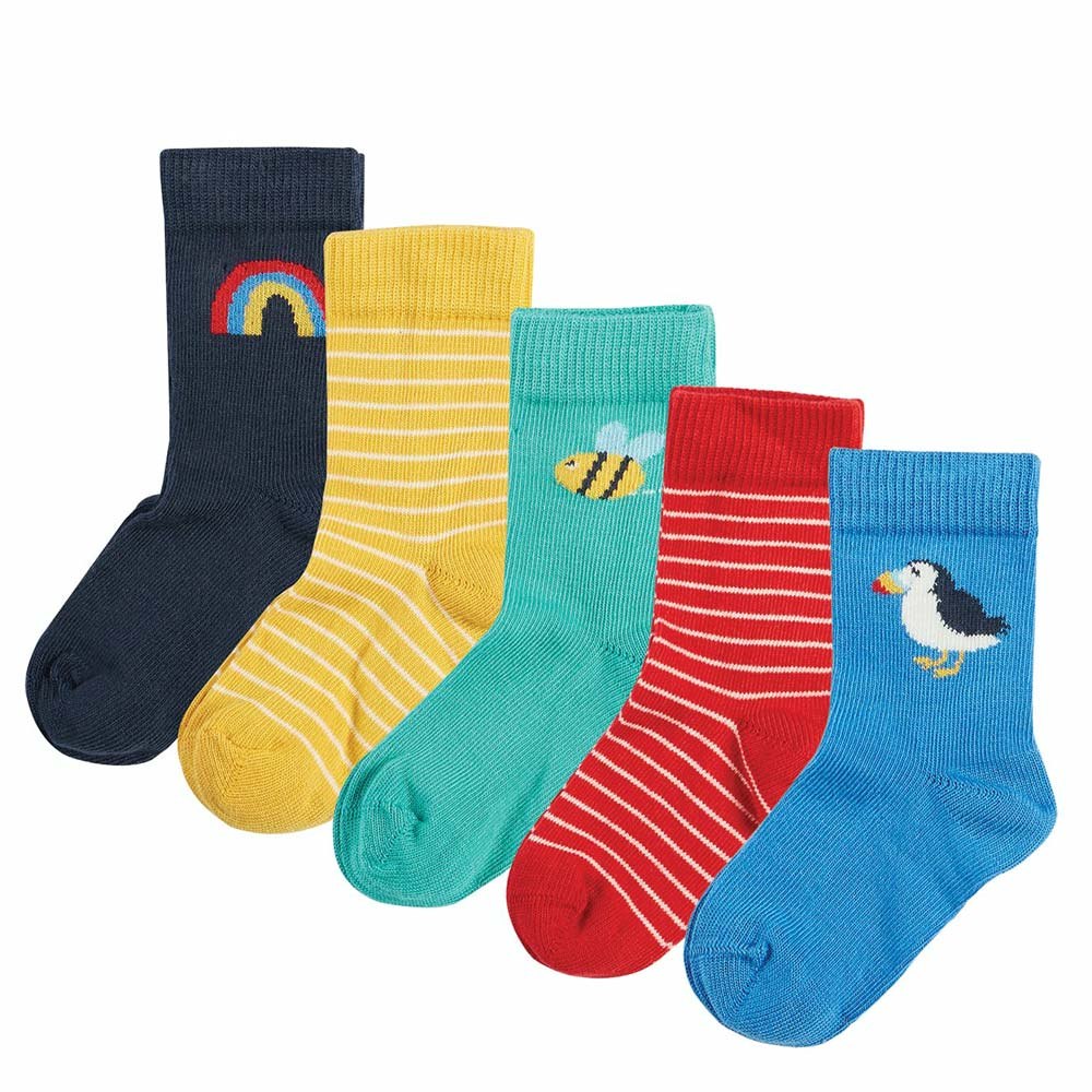 Woof Collection | Squid Socks | Baby & Toddler Socks B - 6-12 Months | Squid Socks