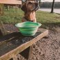 large dog stood behind a Beco Pets Green sustainable rubber travel bowl on a park bench.

