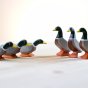 6 Bumbu plastic free wooden mallard duck toys lined up on a white background