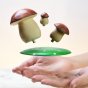 Hands throwing the Bumbu plastic free solid wooden mushroom toy set up into the air in front of a white background