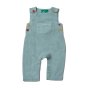 Little Green Radicals childrens sky blue day after day adventure dungarees on a white background