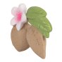 Oli and carol natural rubber aly the almond baby teething toy on a white background
