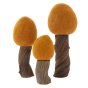 Papoose handmade wooden childrens spring earth tree toys stood up on a white background