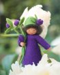 Close up of an Ambrosius raspberry boy collectable fairy doll on a white lower in front of a green background