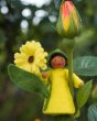 Close up of a yellow calendula Ambrosius felt fairy doll on a yellow flower in front of a green background