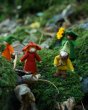 Close up of the ambrosius eco-friendly dwarf father stood next to the ambrosius rosehip girl on some green moss 