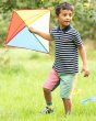 Boy stood on some grass with a kite wearing the Frugi eco-friendly rainbow colour block shorts