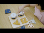 PlanToys | Geometric Sorting Board - Orchard Collection