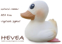 Hevea Kawan the White Duck