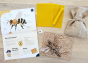 Lily and Mel 3d bee kit with honeycomb wax sheets and anatomical facts on bees
