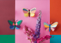 Studio Roof Butterfly wall decorations