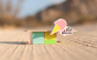 Close up of the Candylab Soft Serve collectable ice cream shack scene set on a sandy background
