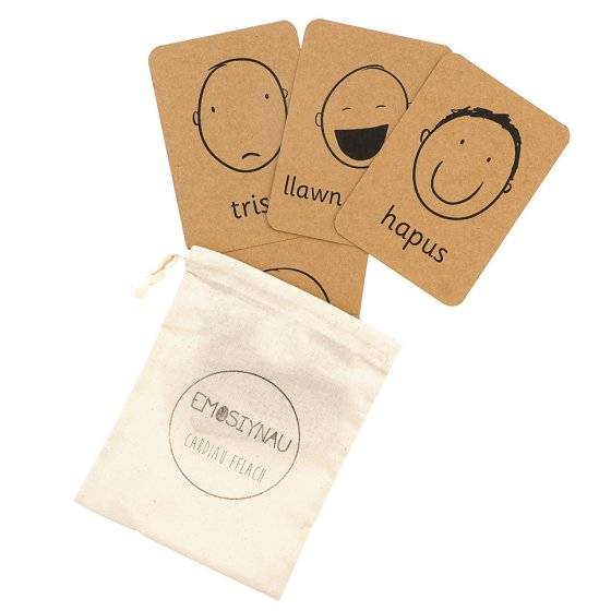 Coach House eco-friendly emotion flashcards laid out on a white background
