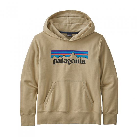 Patagonia organic cotton childrens lightweight graphic hoody in khaki on a white background