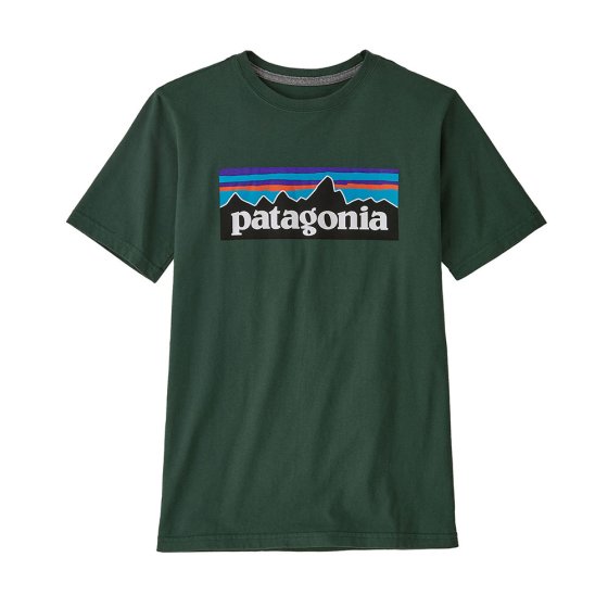 Patagonia Kids Regenerative Organic Cotton P-6 Logo T-shirt - Pinyon Green