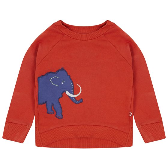Piccalilly Mammoth Organic Cotton Sweatshirt on a white background
