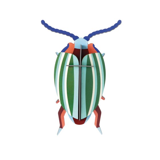 Studio roof eco-friendly cardboard rainbow leaf beetle model on a white background