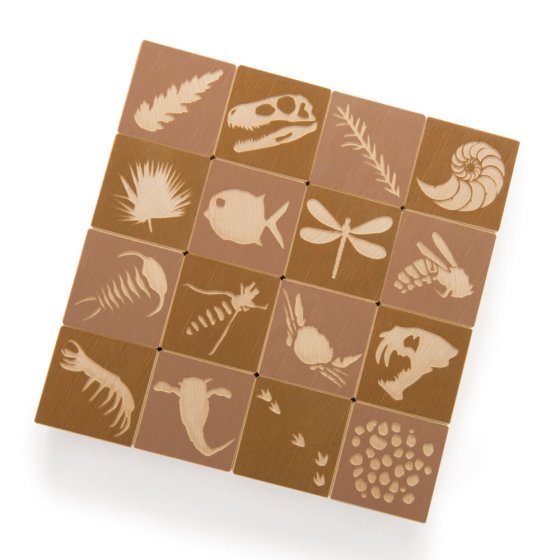 Uncle Goose eco-friendly wooden fossil cubes lined up in a square on a white background