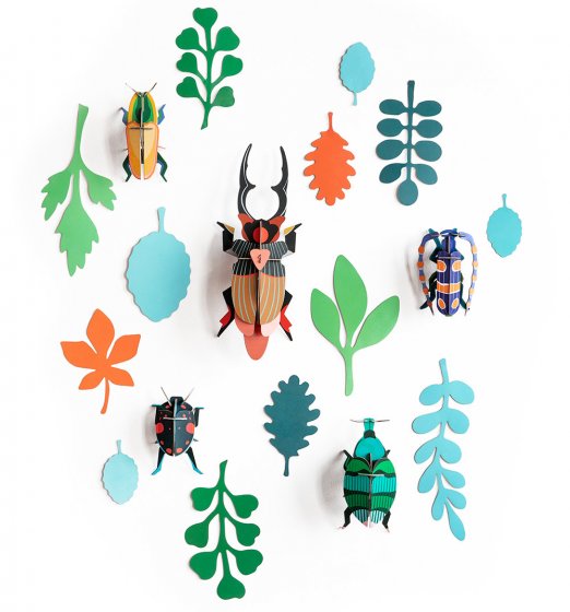 Studio Roof Wall of Curiosities - Beetle Antiquary
