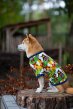Maxomorra Farm Short Sleeve Dog Top