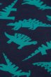dinosaur print close up from frugi orwin outfit