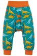 teal parsnip pants with dinos print and orange extendable cuffs and waist from frugi