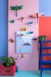 Studio Roof insects collection mounted on a pink panel of a colourful wall with a blue painted ladder, a plant, and a pink crate on the floor with more plants