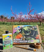 The bubble pollinator kit and it's contents pictured outdoors