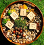 Hellion Toys plastic-free wooden vowel cubes in a round pot filled with small pebbles and golden leaves