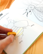 Close up of hand colouring in a bee in the Babipur B is for Buzz story and activities book