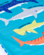 A close up look of the fun shark print of the Frugi Rash Vest Sun Safe - Shark. This rash vest passes British Sun-safe standards UPF 40+ and is made with Recycled fibers.
