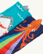 A close up view of the Frugi Character Socks 2-Pack - Shark / Squid, made with GOTS Organic Cotton. The left pair of socks shows a shark in the sea, and the right pair show an orange squid shooting  rainbow squid ink.