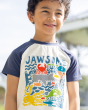 A smiling child wearing the Frugi Reid Raglan T-Shirt - Jawsome. A colourful t-shirt made from GOTS Organic cotton  with a white body with sea-life animal print, and navy short sleeves, on a sunny day background