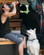 A person drinking from the Klean Kanteen 20oz / 592ml Insulated Classic Loop Cap Bottle - Mountains with their dog looking towards them. The person is sitting inside a camper van
