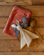 A group photo of the Little Green Radicals Bear, Rabbit and Lion Organic Cotton Soft Toy, laying on a red and rainbow blanket, on a wooden floor background