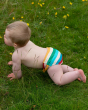 A child crawling on grass wearing the Little Green Radicals Rainbow UPF 50+ Recycled Swim Nappy. Made with 82% Recycled Nylon 18% Spandex, this fun rainbow striped swimming nappy comes with an elastic drawstring at the front, and elasticated waste and leg