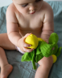 Close up of a baby holding the Oli & Carol natural rubber lemon teething toy