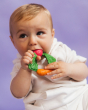 A baby chewing on the Oli & Carol 100% Natural Rubber Baby Teething Ring - Veggie with a purple background