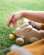 Close up of a childs hand above the Plan Toys plastic free wooden push along bunny on some green grass