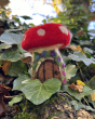 The Makerss Needle Felt Toadstool House. A beautifully crafted Fly Agaric Toadstool Fairy house with a red and white spotted top, cream base and a brown door adorned with purple and blue flowers, stood among the leaves in a forest
