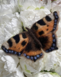 The Makerss Tortoiseshell Butterfly Needle Felting Kit. A beautifully crafted felt Tortoiseshell Butterfly in brown, orange, black, cream and blue, sat on white flowers