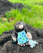 Busy Mr Mole looks very busy outside cleaning his mole hill!  A beautifully crafted mole wearing glasses, a spotted apron a mop and a bucket, stood on top of a mole hill