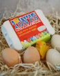 Tonys chocolonely egg-stra special fairtrade mini chocolate eggs in a basket full of straw, surrounded by small wooden eggs and a toy chick