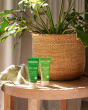 Weleda Skin Food Nourish & Shine Gift Set including  Skin Food Original 30ml paired with Skin Food Light 30ml, in front of a green plant in a light brown fabric basket in the sun, standing on a wooden round table