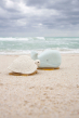 Hevea natural rubber turtle and whale bath toys on the beach