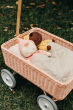 Close up of 2 Olli Ella dinkum dolls laying in the rose pink rattan toy wagon on some grass