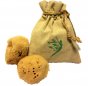 Natural Intimacy Menstrual Sea Sponges x2 & Bag