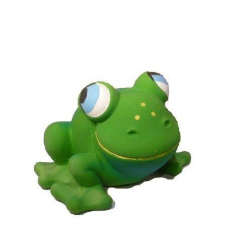 Lanco Frankie Frog Large Teether Toy