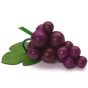 Erzi Bunch Of Purple Grapes Wooden Play Food on a white background.